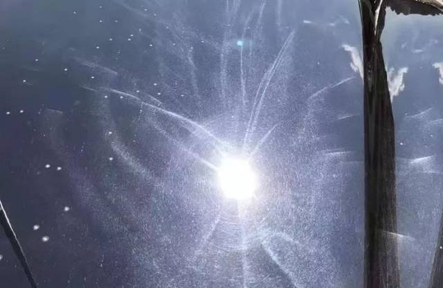 各位大佬，全车漆面现在都是这种抛光打蜡造成的眩光纹，一圈一圈的，比太阳纹看着还难受，￼￼有什么好的办法处理掉或者恢复到原有的漆面质感？ - 图片 1