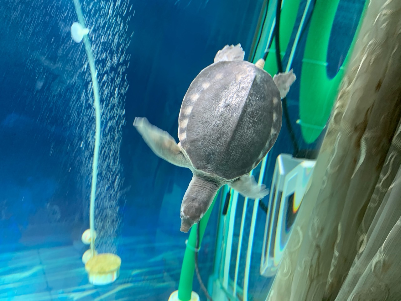 明天上胶🤨🤨🤨 - 图片 5