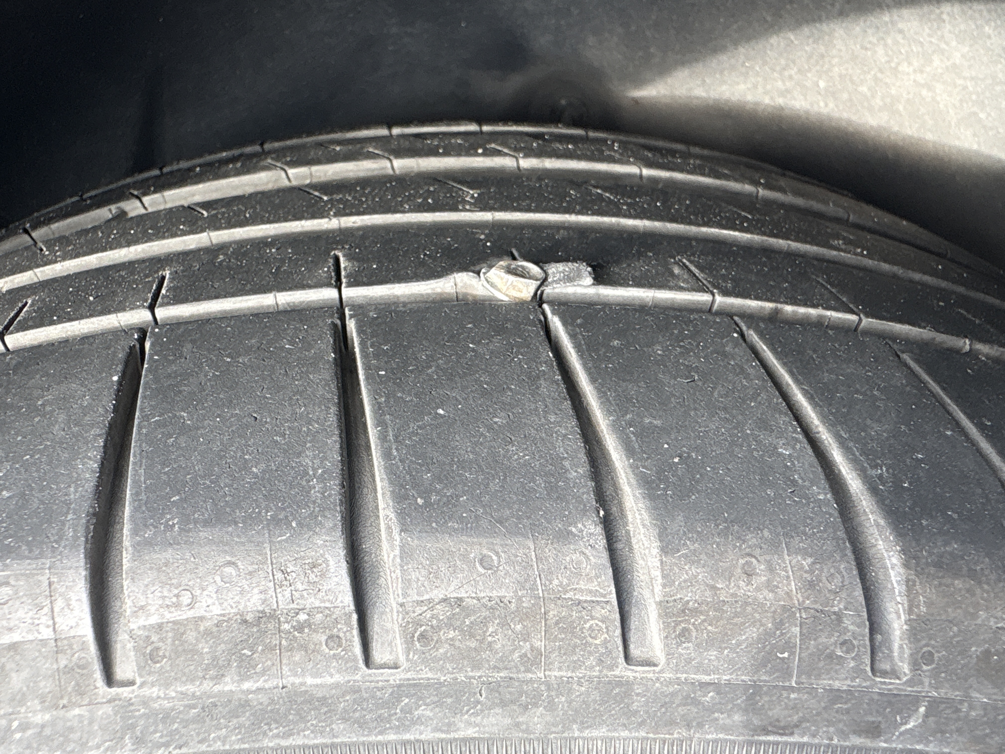 我真的是服了狗，哪来那么多钉子 - 图片 1