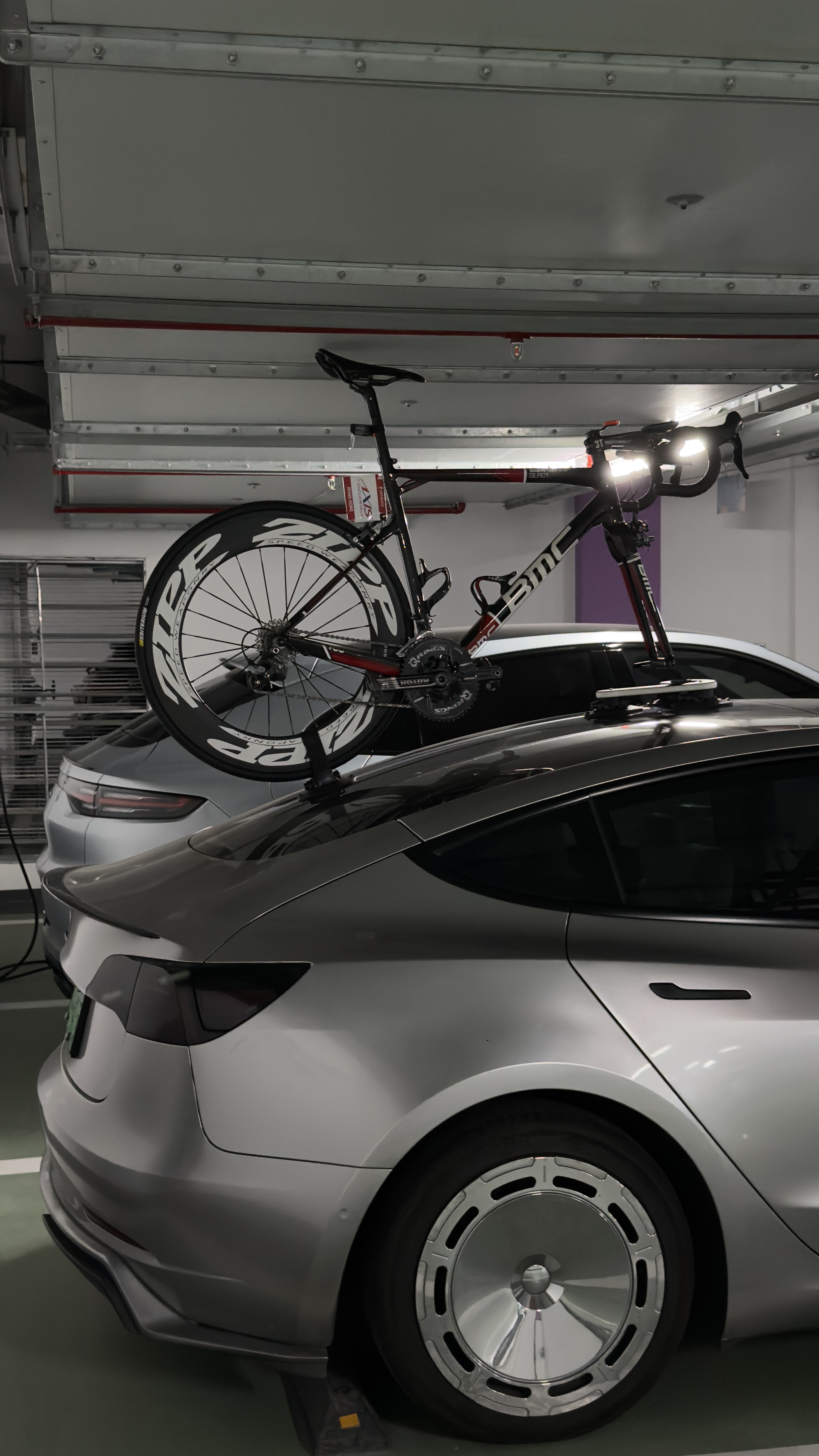 陪伴了我3年多的老朋友
只有更爱 没有不爱 - 图片 3