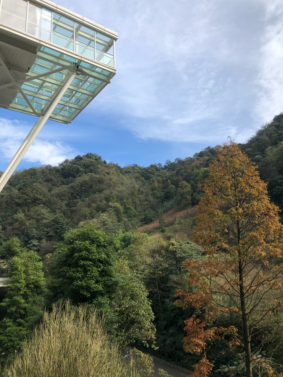 带着正太太和小三去秋了个游🌞 - 图片 2