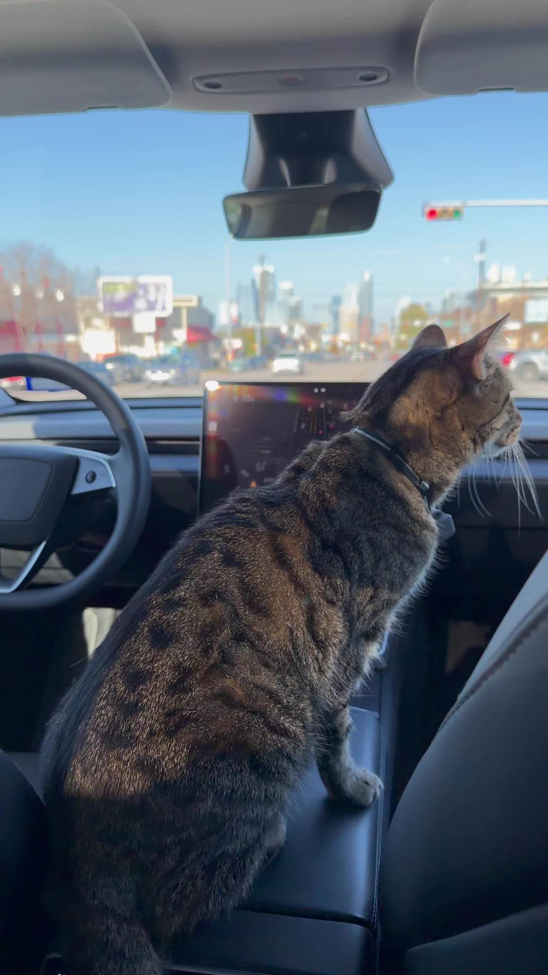 最近特斯拉在内测无安全员 Robotaxi，马斯克本人上周末试乘环游了奥斯汀，第一段视频是 AI 团队高管试乘分享，第二段是团队成员带宠物一起试乘，这种情况下员工自己上最有说服力。

#特斯拉#

# - 图片 2