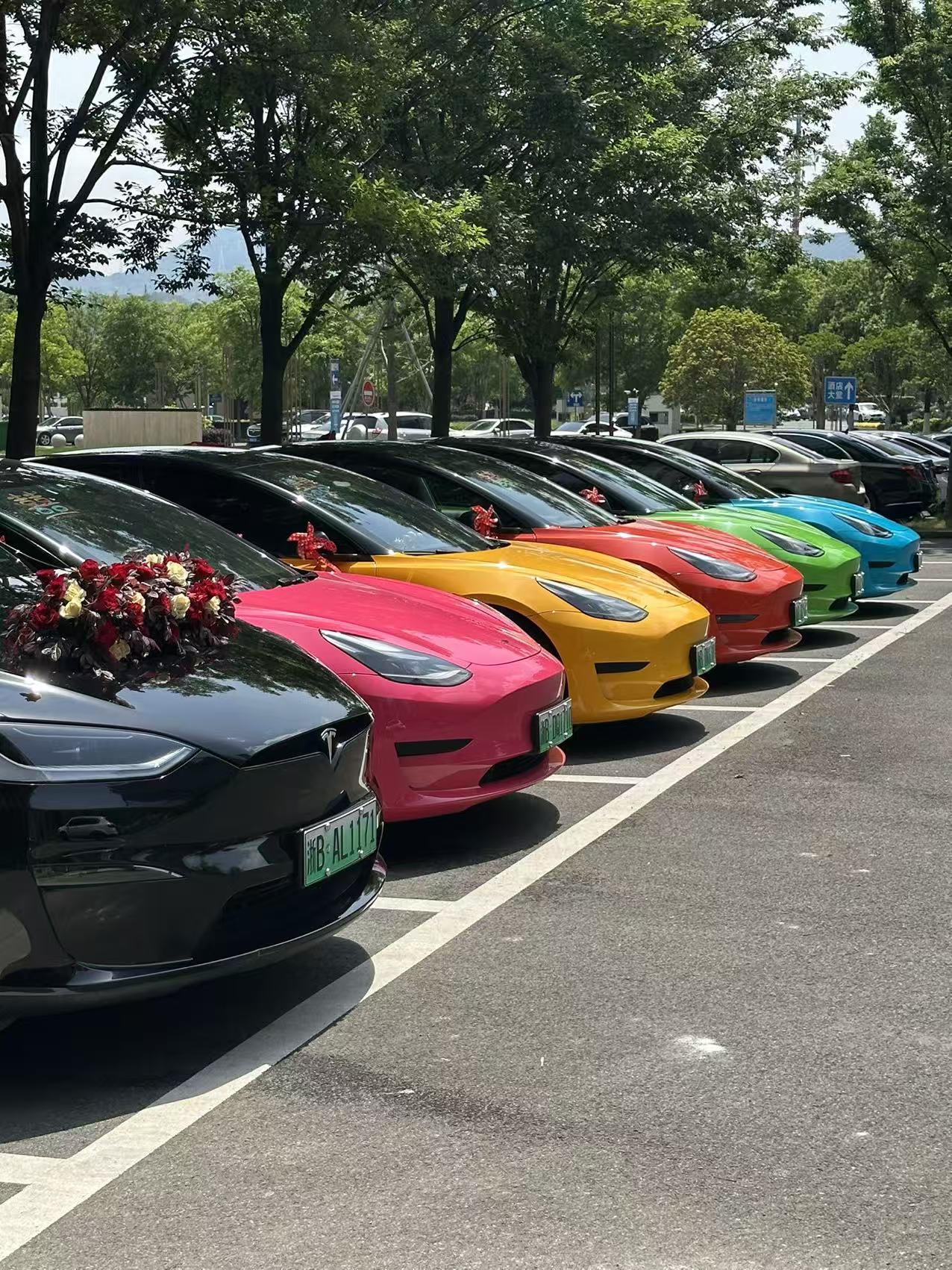 葫芦娃 - 图片 1