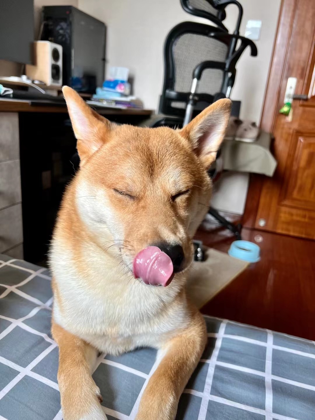 发个引荐码，没提车也能用🥰
https://www.tesla.cn/referral/gongyan96692

此外，您可终身享受以下特权
①王者荣耀 /英雄联盟陪玩②拼多多砍一刀③朋友圈点赞④ - 图片 1