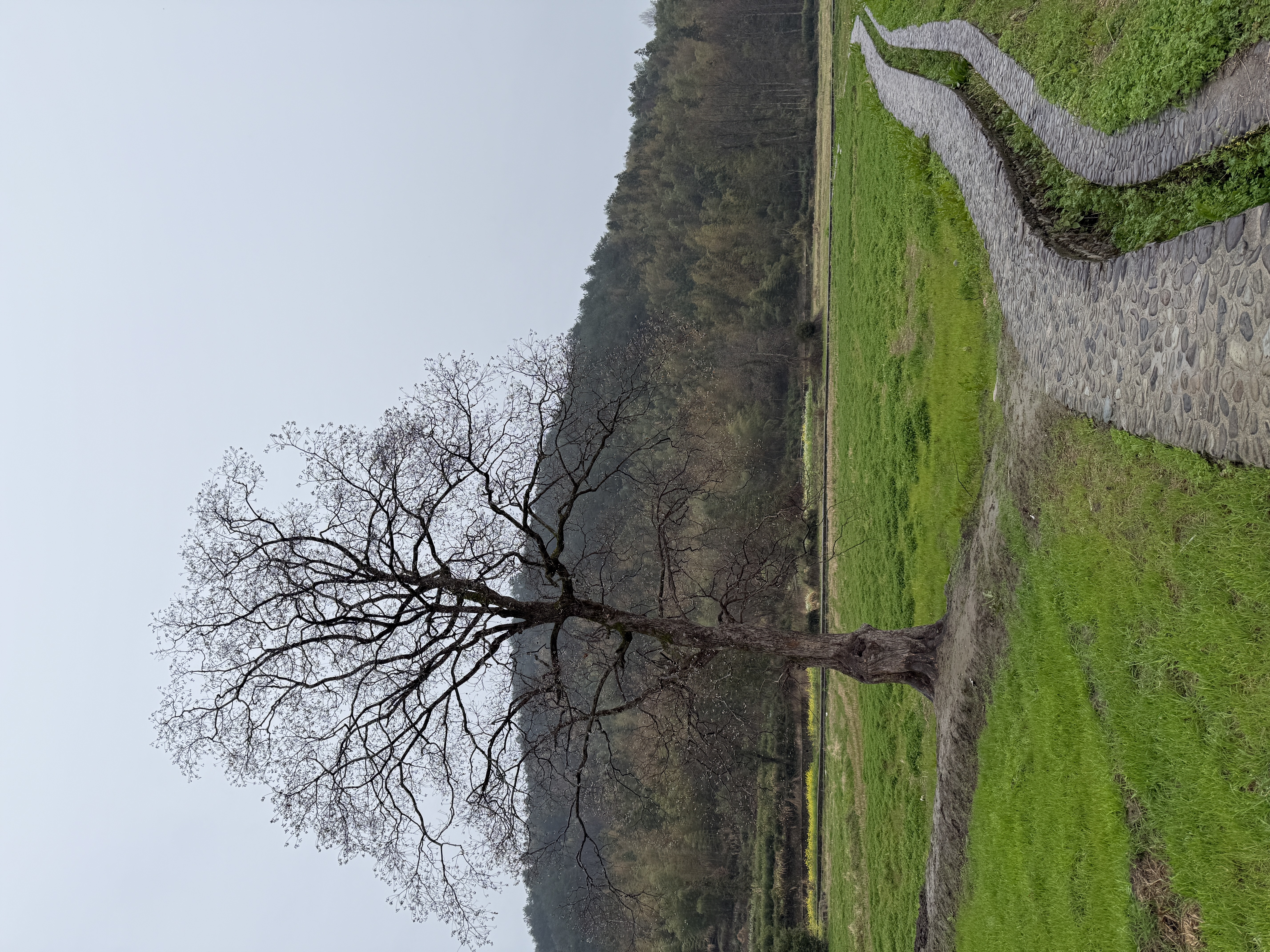 为什么现在车机语音不好用啊，不管是导航还是语音放歌😓 是我用了方式不对吗 - 图片 1