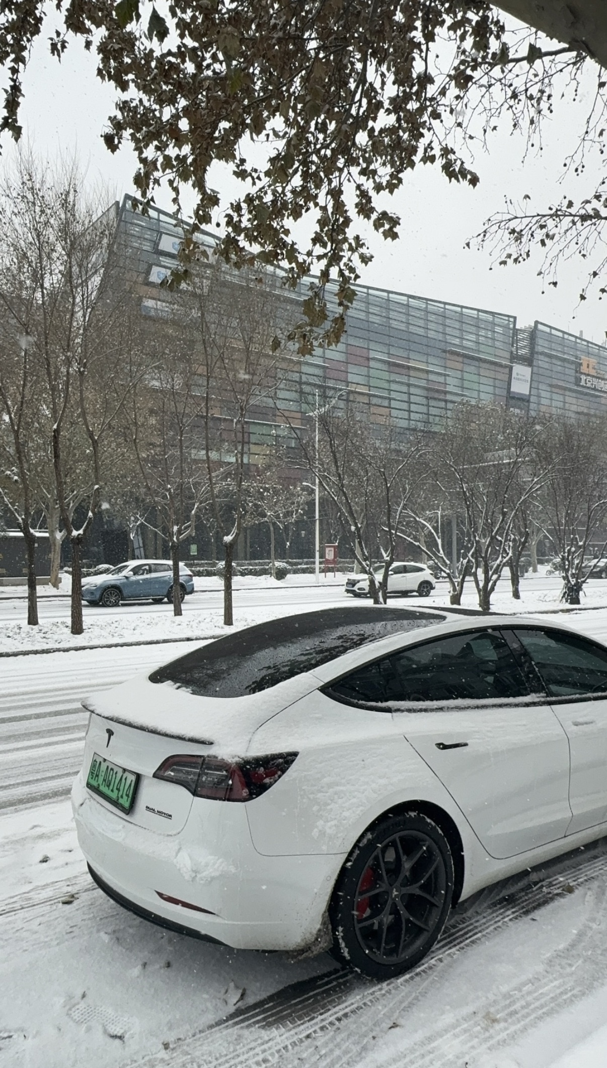 22款Model3性能版｜电池更换后续

今天收到特斯拉售后电话，总算尘埃落定！
我的22款Model3性能版，成功匹配全新LG三元锂整块电池，现已安排发货，Tesla App也已签署维修合同。

很 - 图片 2