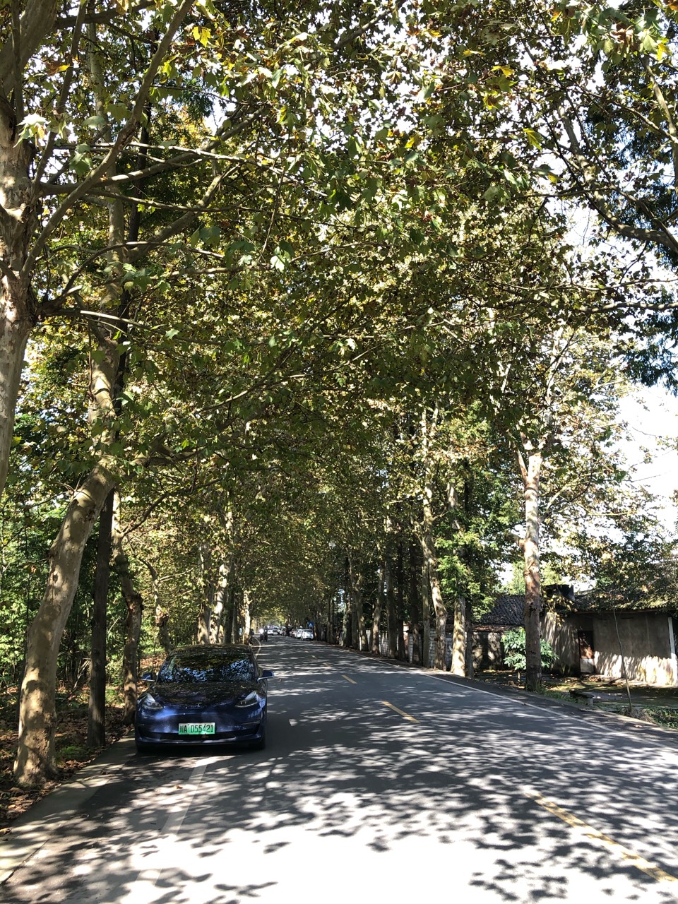 带着正太太和小三去秋了个游🌞 - 图片 4