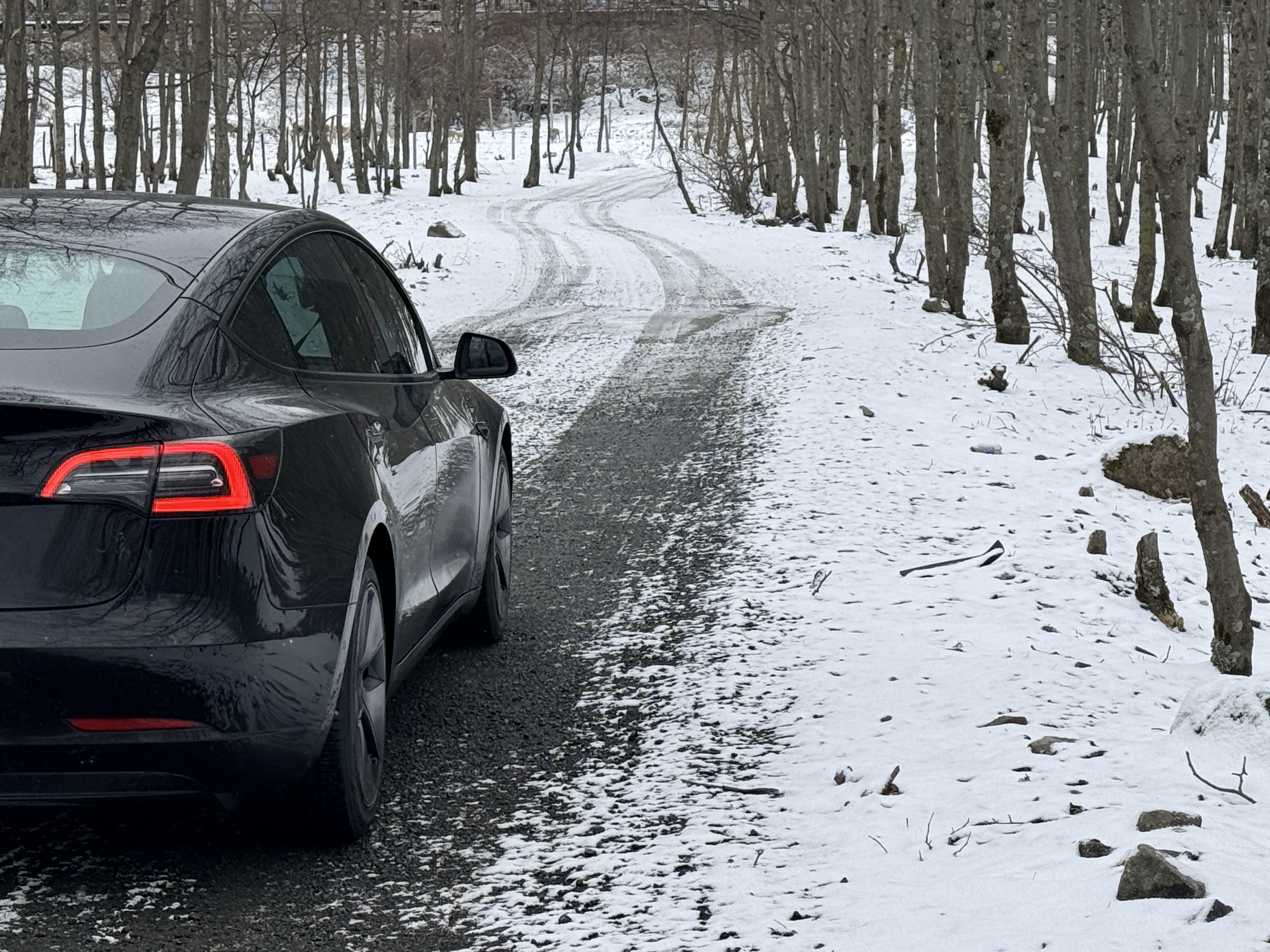 特斯拉热泵损坏率到底多大，网络上都是坏的，现实中身边没见过 - 图片 1