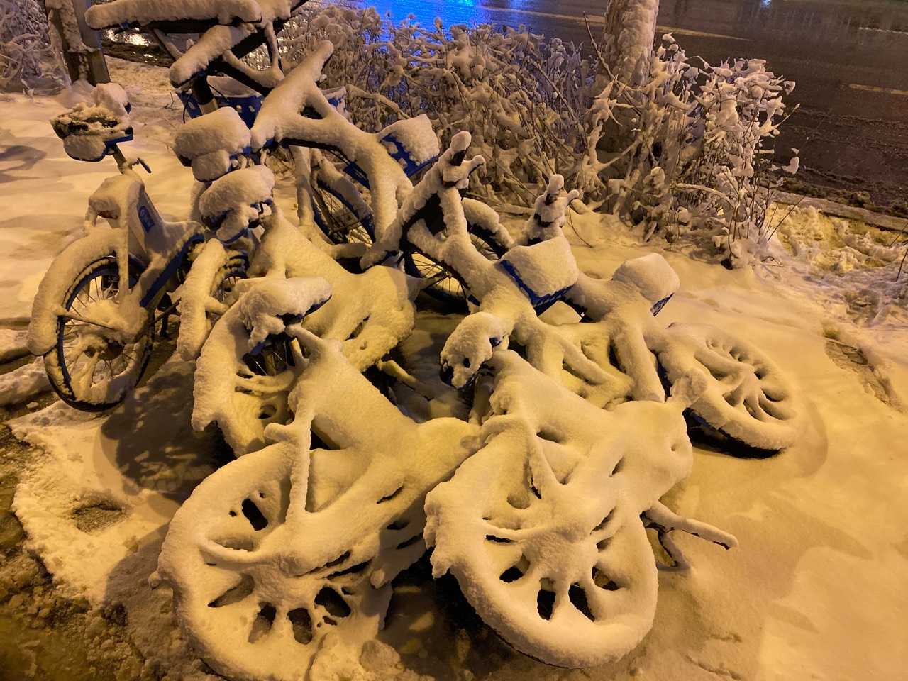 不知道明天能咋样 - 图片 3