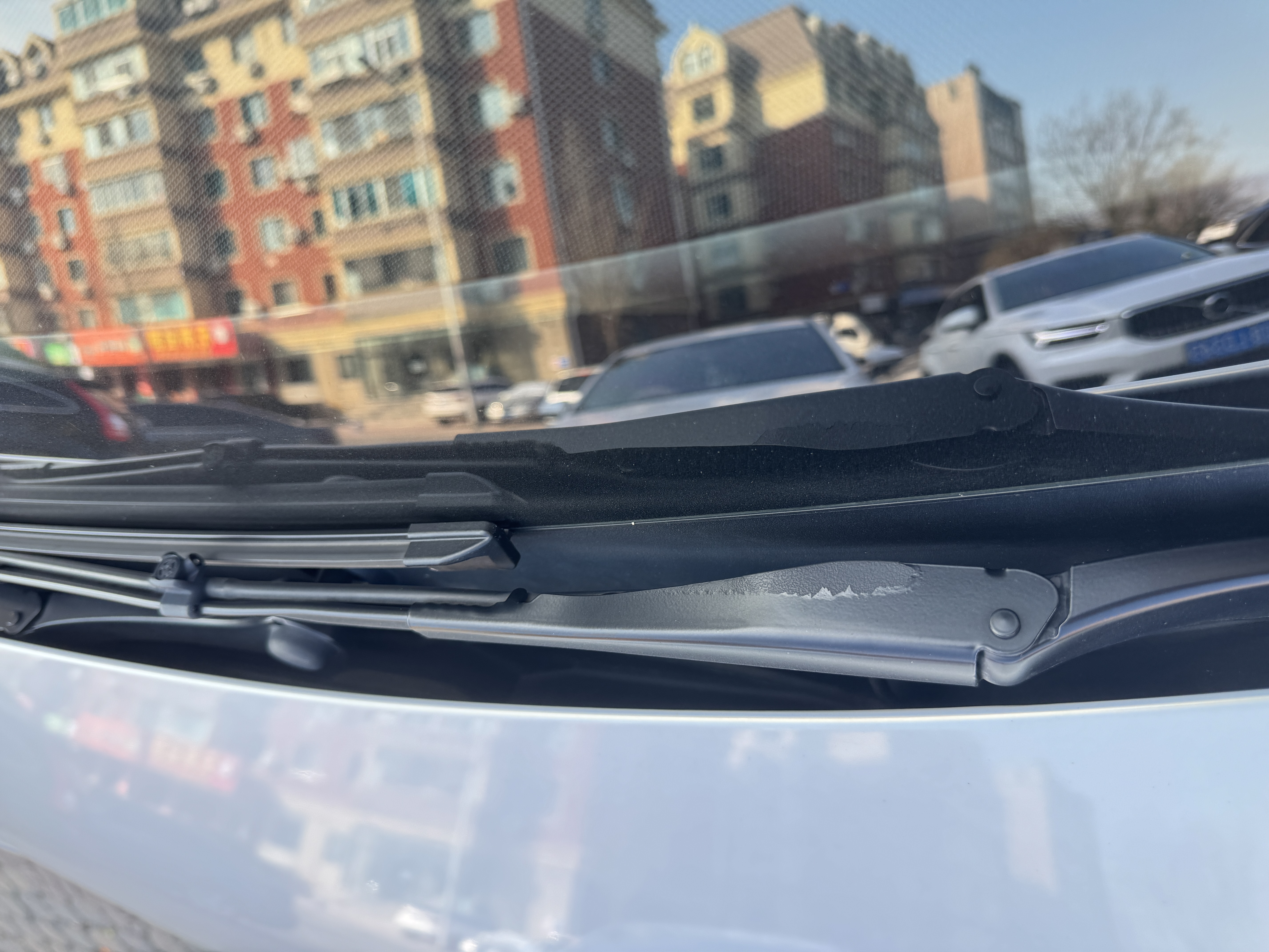 请教各位大佬，21年9月的Y，发现雨刮器掉漆了怎么处理好😀 - 图片 1