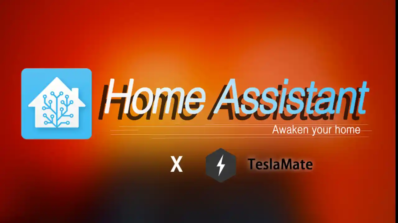 TeslaMate 数据备份及恢复