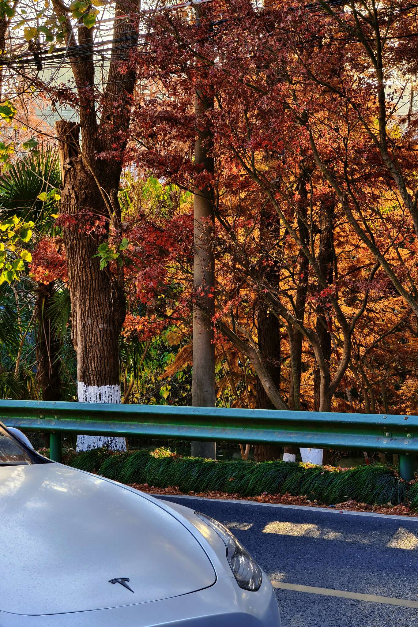 2025接近尾声📷 - 图片 2