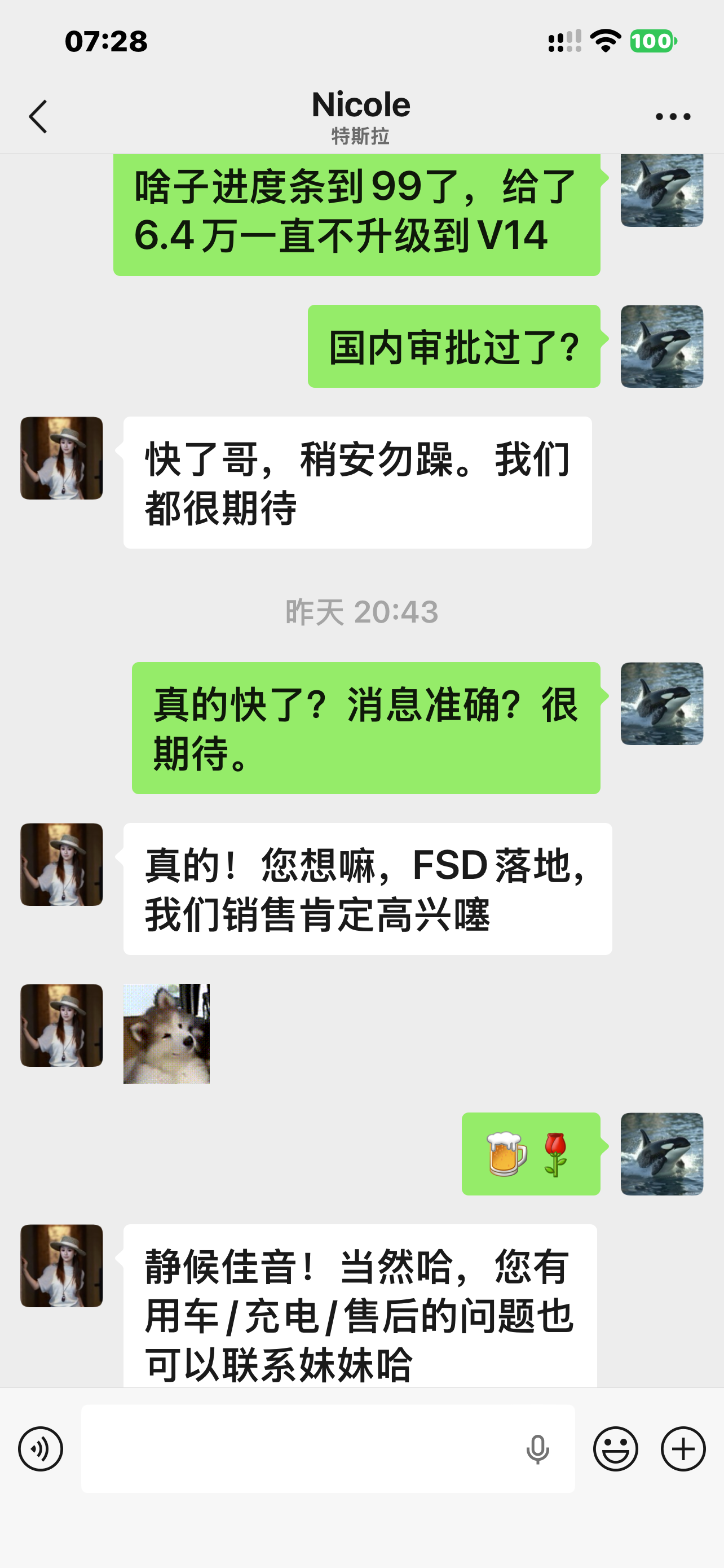 FSD要到了 - 图片 1