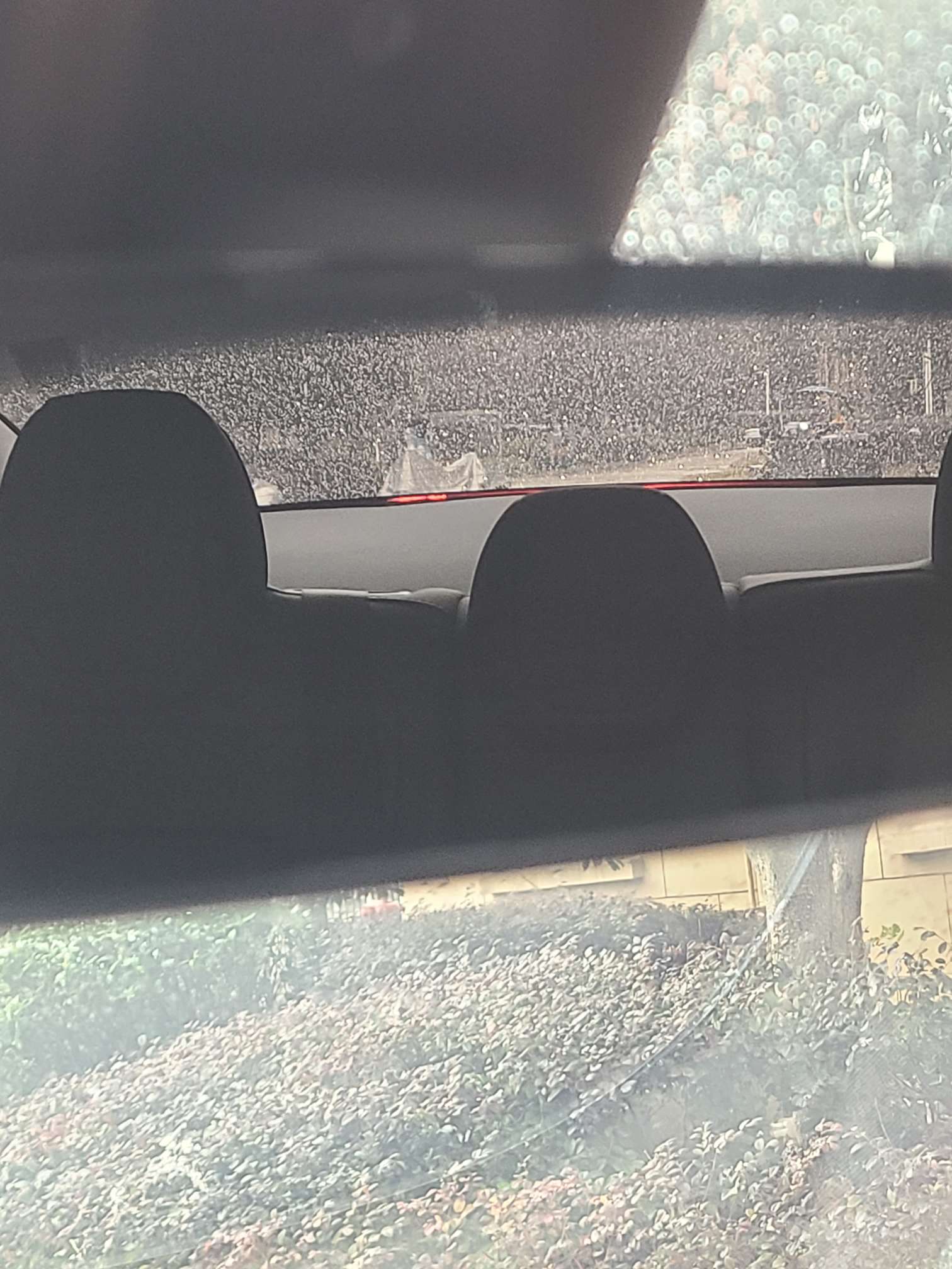 3后面置物板塌陷漏光，这玩意怎么拆下来呀 - 图片 1