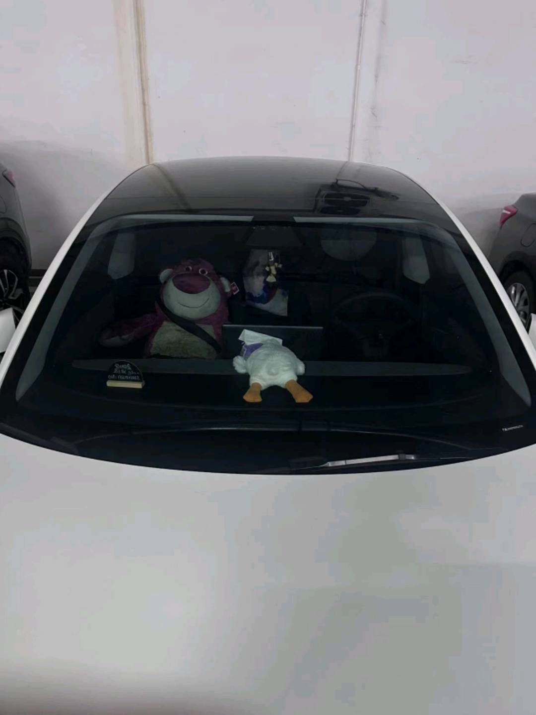 今天能推吗，明天又周末了。 - 图片 1